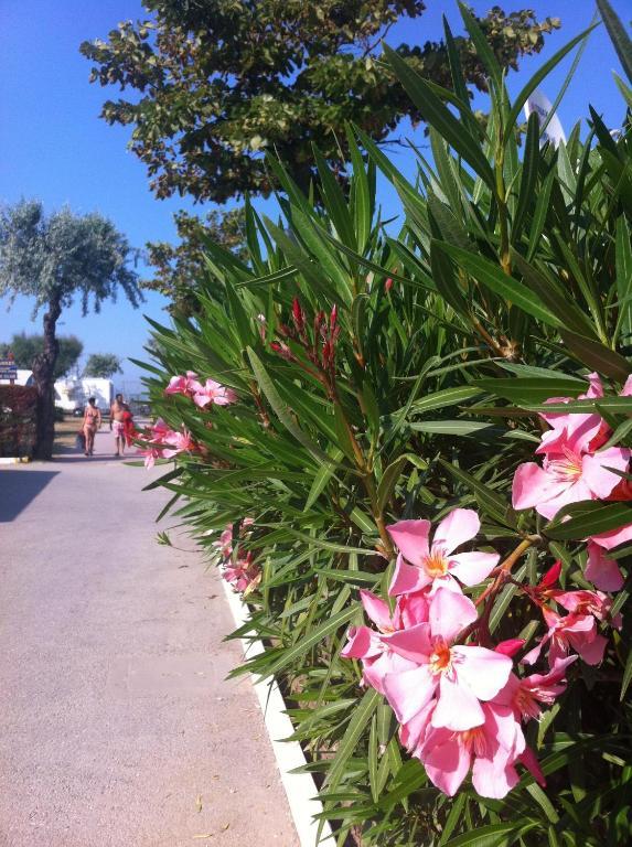 Happy Camping Village Bellaria-Igea Marina Esterno foto